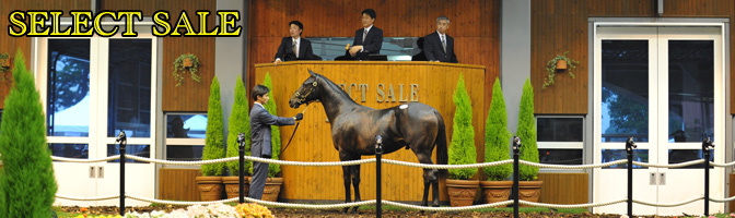 �Z���N�g�Z�[��