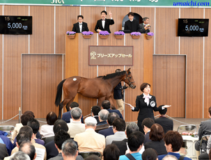 ｊｒａブリーズアップセールについて 馬市ドットコム