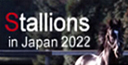Stallions in Japan 2022