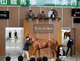 JRA日本中央競馬会購買馬(74頭)とホームブレッド(8頭)の育成牧場内訳について