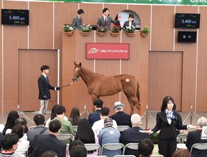 y2025 JRAu[YAbvZ[(JRA Breeze Up Sale)zJ(ʊTv)