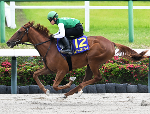 y2025 JRAu[YAbvZ[(JRA Breeze Up Sale)zJ(ʊTv)