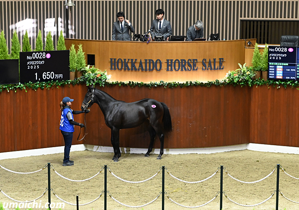 【オータムセール2026(Autumn Sale)】～総合結果概要(最高額馬写真･動画など)