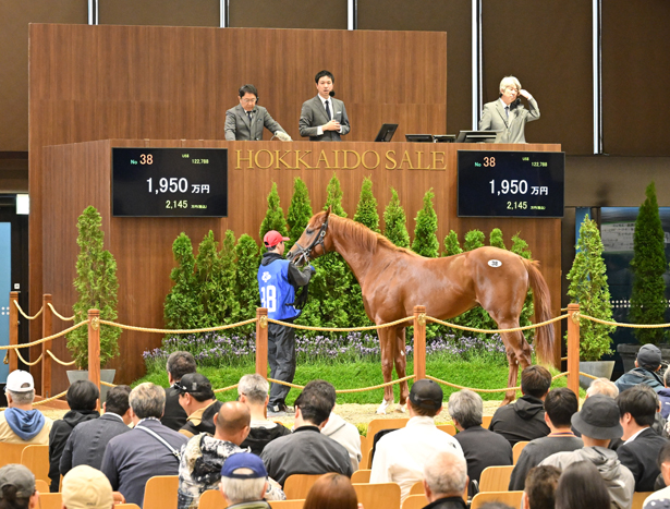 【HBAトレーニングセール2026(HBA Training Sale)】の結果概要(ロジャーバローズ産駒が最高額)