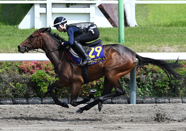 【2026 JRAブリーズアップセール(2歳)】の「騎乗供覧」が実施(騎乗供覧タイム表)