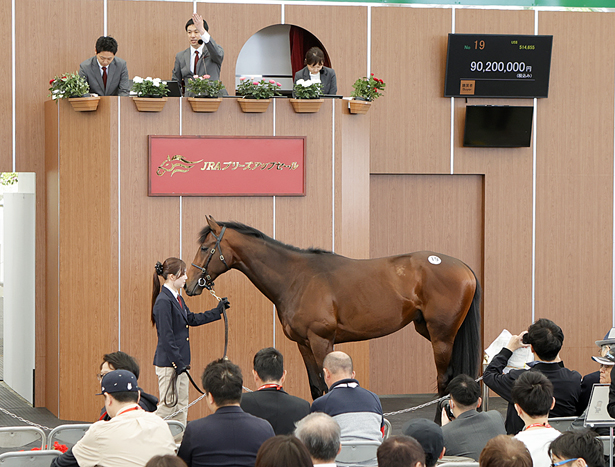 【2026 JRAブリーズアップセール(JRA Breeze Up Sale)】が開催(結果概要)