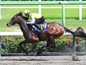 �y2026 JRA�u���[�Y�A�b�v�Z�[��(JRA Breeze Up Sale)�z�̌��ʊT�v(�t�@�C�i���X�e�[�W���ʂ𔽉f�����ŏI����)