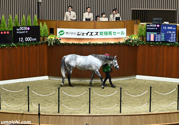 【ジェイエス 繁殖馬セール2026(秋季)】～結果概要(最高額馬写真･動画など)