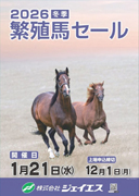 ジェイエス繫殖馬セール(冬季)