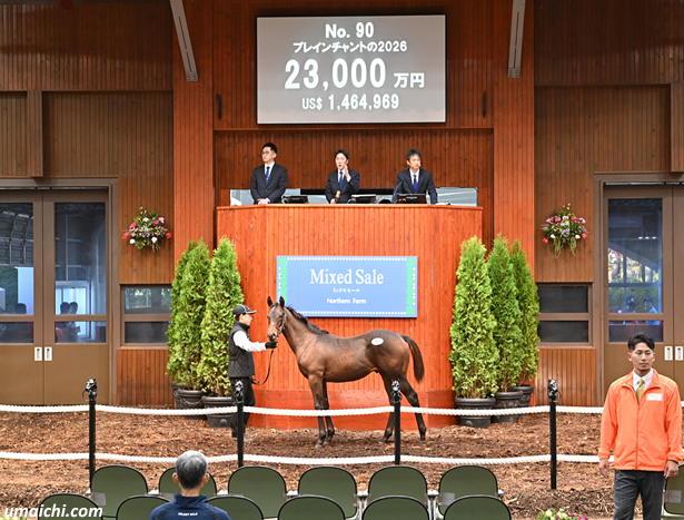【ノーザンファーム ミックスセール2026】～当歳馬セッション結果概要(最高額馬写真･動画など)