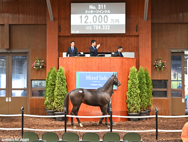 【ノーザンファーム ミックスセール2026(Northern Farm Mixed Sale)】～繁殖牝馬セッション結果概要(最高額馬写真･動画など)