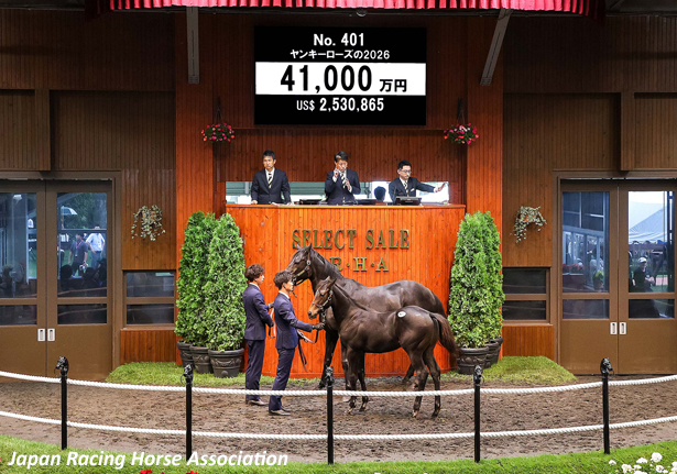 【セレクトセール2026(Select Sale､第2日目､当歳)】の結果概要(最高額馬写真･動画､インタビュー映像など)