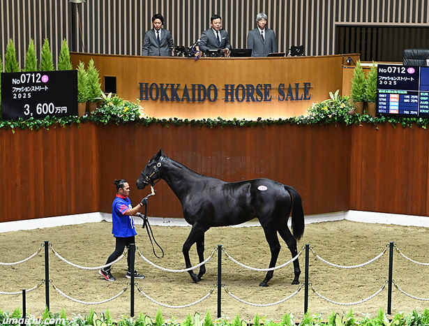 【セプテンバーセール2026(September Sale､1歳馬)】～総合結果概要