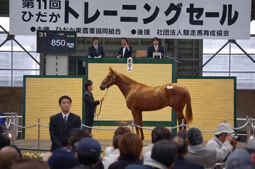 ８５０万円　ＪＢＢＡ日本軽種馬協会様　ご購買ありがとうございました！
