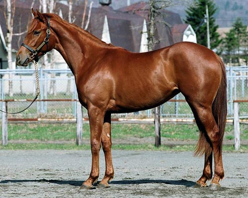 No.110-���K�~�|�C���g��2004�iby�O���X�����_�[�j