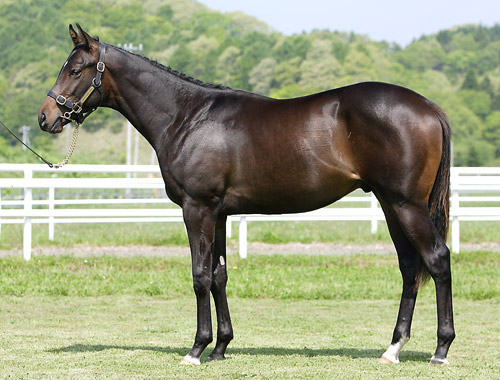 �^�C�t�E�W���I�[�̂P�W�iby�R���i�h�Y�N�G�X�g�j