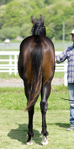 �^�C�t�E�W���I�[�̂P�W�iby�R���i�h�Y�N�G�X�g�j