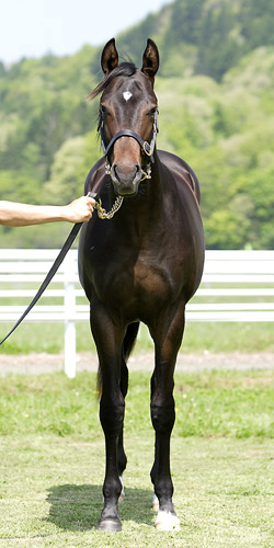 �^�C�t�E�W���I�[�̂P�W�iby�R���i�h�Y�N�G�X�g�j