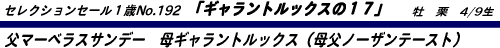 �M�������g���b�N�X��17-���}�[�x���X�T���f�[-��M�������g���b�N�X�i�ꕃ�m�[�U���e�[�X�g�j