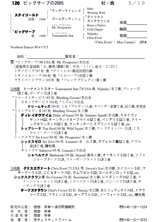 No.120�@�r�b�O�T�[�u�̂Q�O�O�T