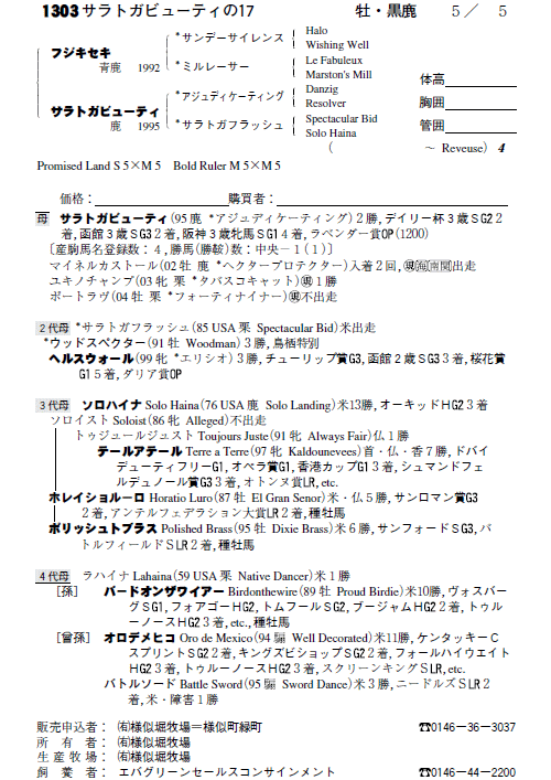 No.1303�@�T���g�K�r���[�e�B�̂P�V