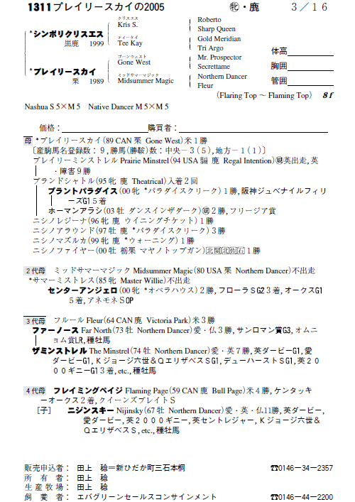 No.1311�@�v���C���[�X�J�C�̂Q�O�O�T