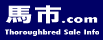 �n�s�h�b�g�R��